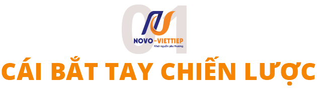 cai-bat-tay-chien-luoc.png
